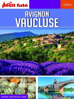 cover image of AVIGNON--VAUCLUSE 2020 Petit Futé